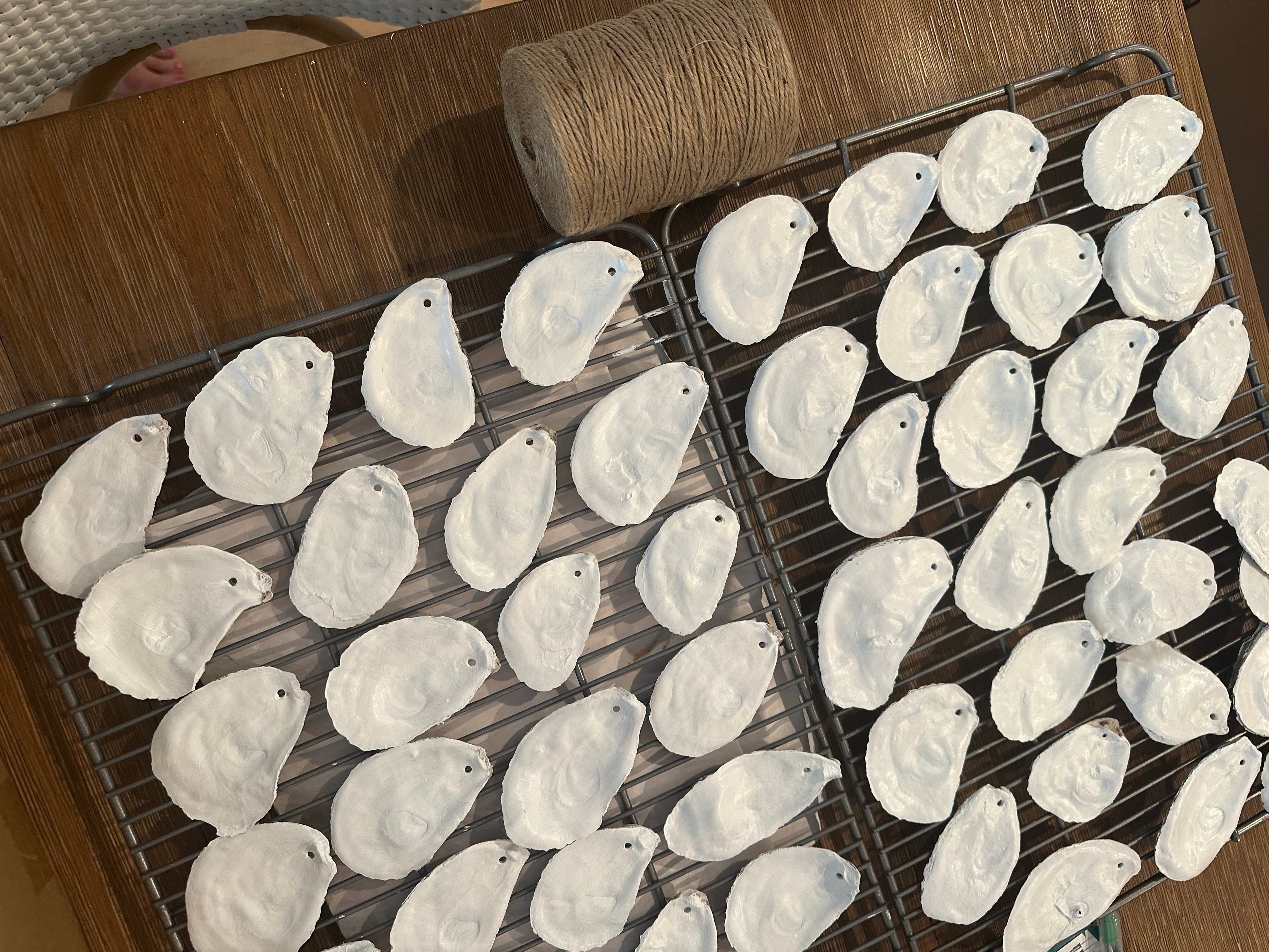 painted oyster shells in development