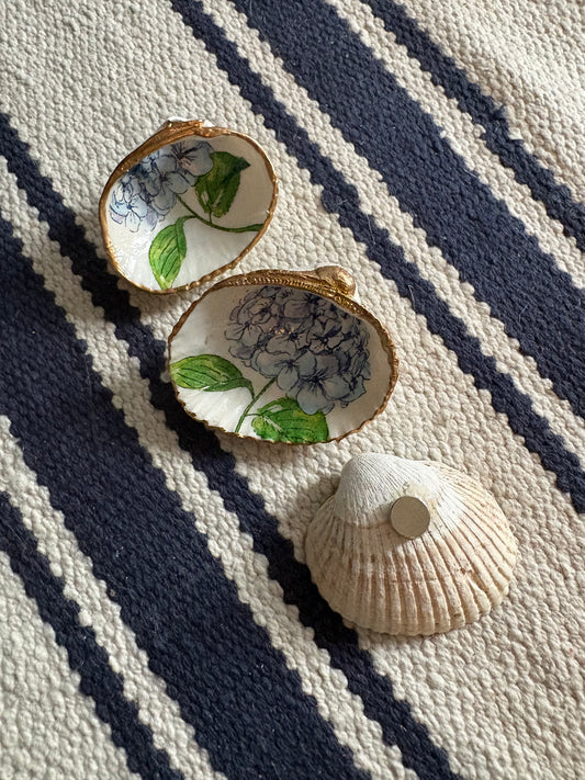 Shell magnet