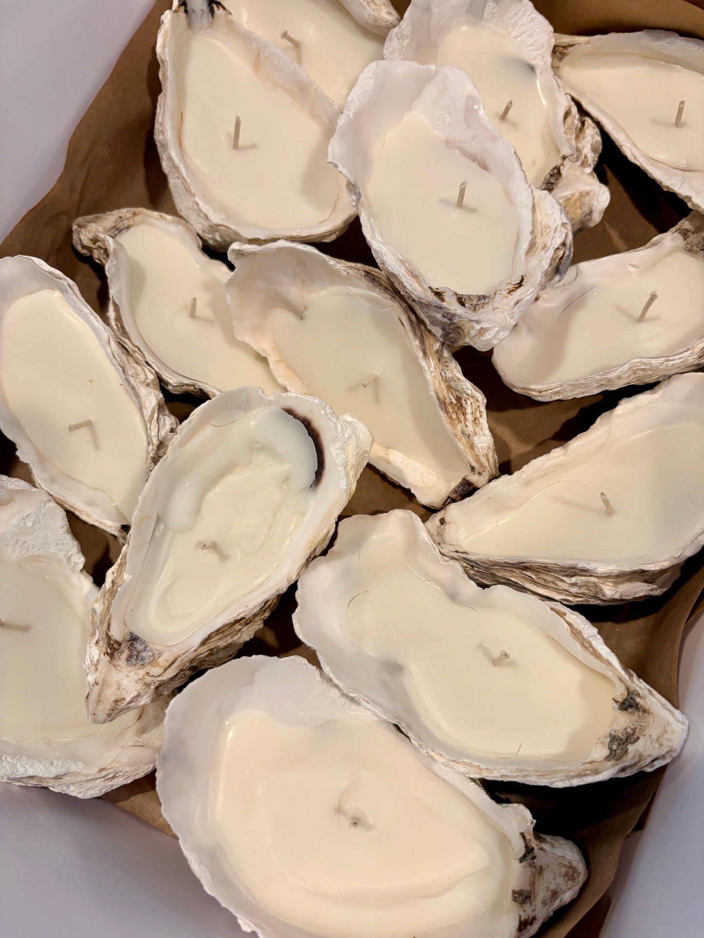 Oyster Soy Wax Candles