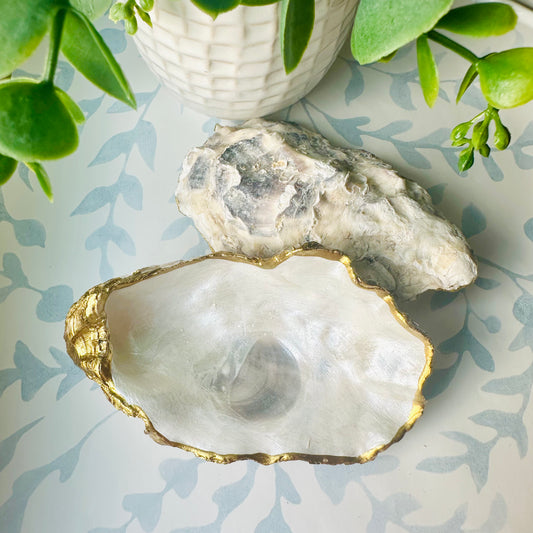Hand-painted Oyster Shell Trinket Dish - Transparent Pearl
