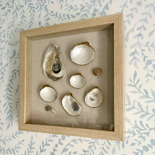 Shadowbox Framed Shell Art - 10x10 Wood Frame: Glided Naturals