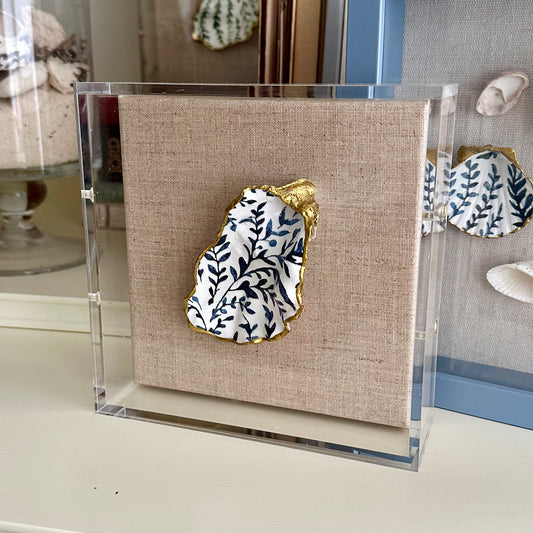 Shadowbox Framed Shell Art - 6x6 UV Acrylic Frame: Oyster