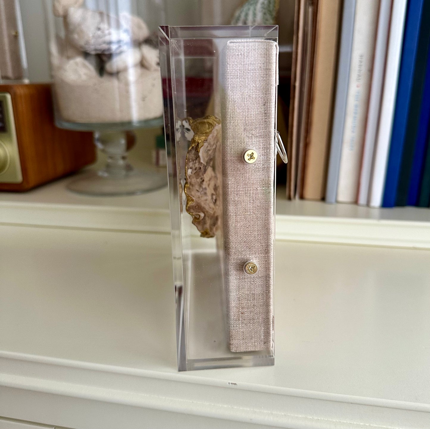 Shadowbox Framed Shell Art - 6x6 UV Acrylic Frame: Oyster