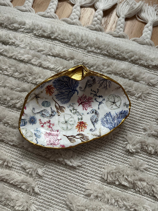 Découpage Atlantic Surf Clam Shell - Seascape